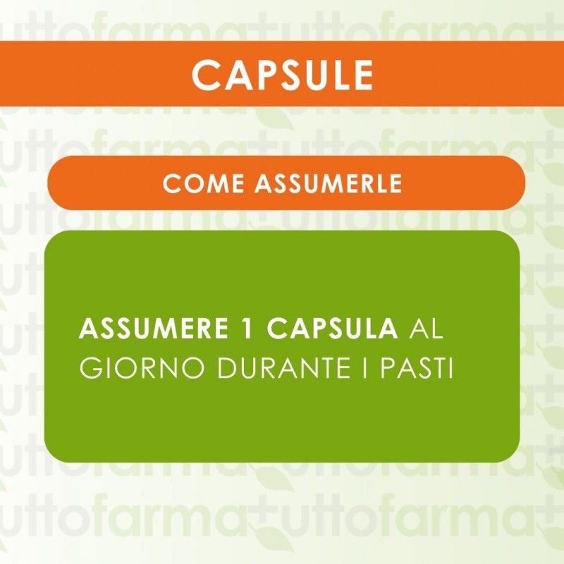 Come Assumere Cemon Microflor Scuola per Difesa Immunitaria 30 Compresse Masticabili Come Assumere Cemon Microflor Scuola per Difesa Immunitaria 30 Compresse Masticabili