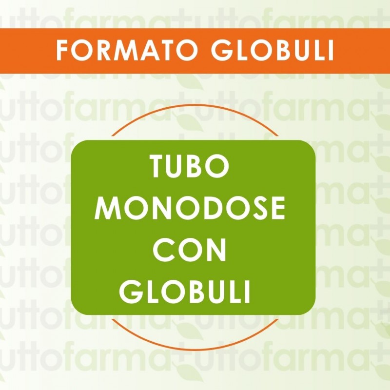 Formato di Cemon Nux Vomica XMK Monodose Globuli Omeopatici Formato di Cemon Nux Vomica XMK Monodose Globuli Omeopatici