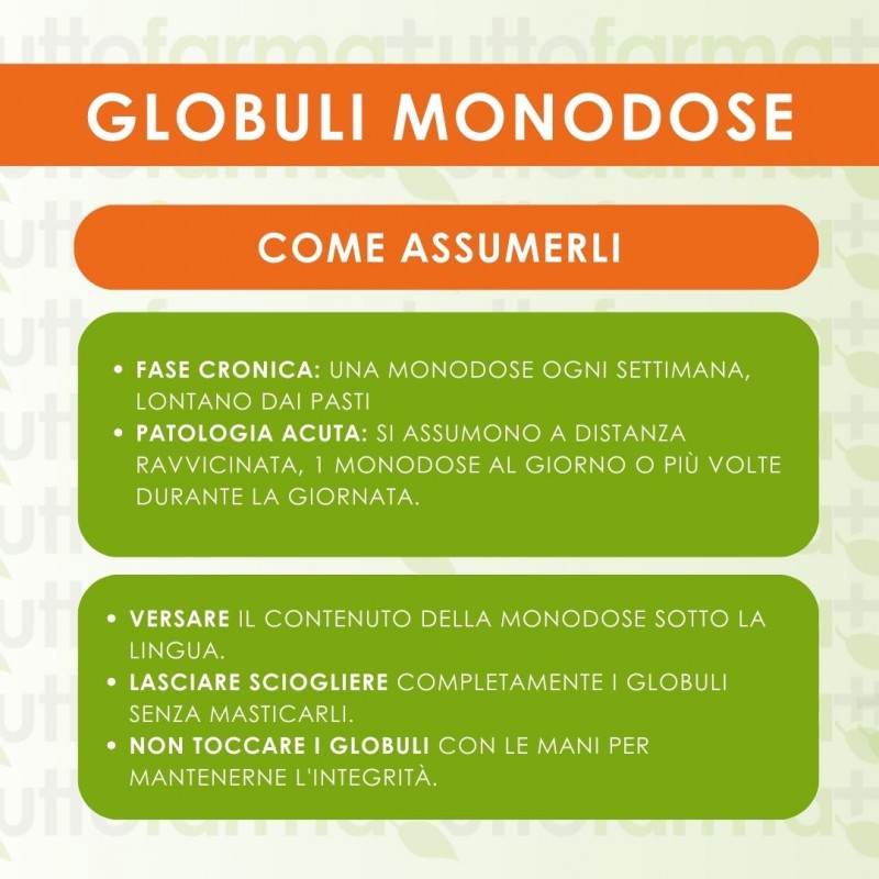 Come Assumere Cemon Nux Vomica XMK Monodose Globuli Omeopatici Come Assumere Cemon Nux Vomica XMK Monodose Globuli Omeopatici