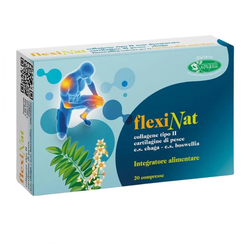 Confezione esterna di FlexiNat Integratore di Collagene per Articolazioni 20 Compresse Confezione esterna di FlexiNat Integratore di Collagene per Articolazioni 20 Compresse