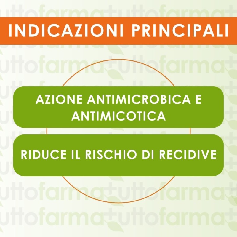 Indicazioni principali di Meclon Crema Vaginale 30 gr 20 %+ 4 % + Applicatore