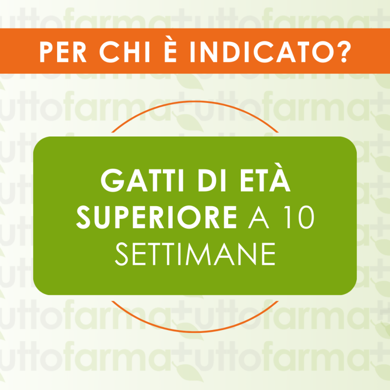 Per chi è indicato Seresto Collare Antiparassitario per Gatti Fino a 8 Mesi di Protezione