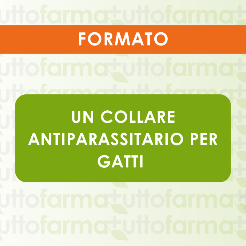 Formato di Seresto Collare Antiparassitario per Gatti Fino a 8 Mesi di Protezione