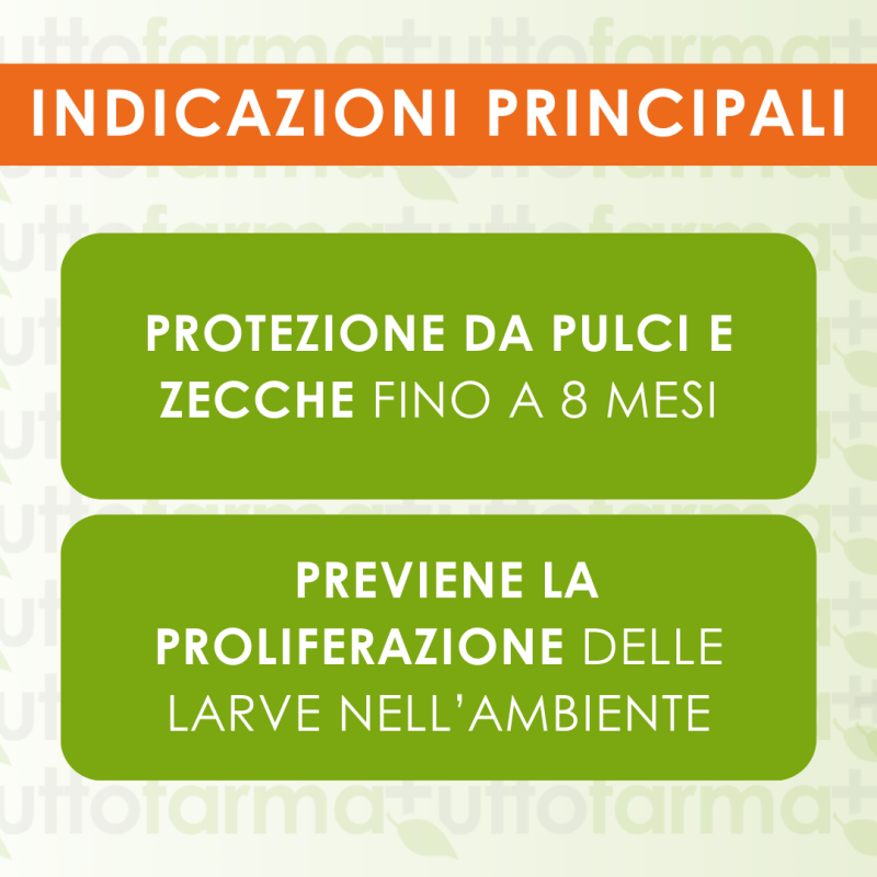 Indicazioni principali di Seresto Collare Antiparassitario per Gatti Fino a 8 Mesi di Protezione