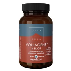 barattolo di Terranova Vollagene e Silice Integratore per Pelle e Articolazioni 50 Capsule barattolo di Terranova Vollagene e Silice Integratore per Pelle e Articolazioni 50 Capsule