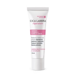 Formato di Fpr Cica Labbra Balsamo Labbra Riparatore con Vitamina E 10 ml Formato di Fpr Cica Labbra Balsamo Labbra Riparatore con Vitamina E 10 ml