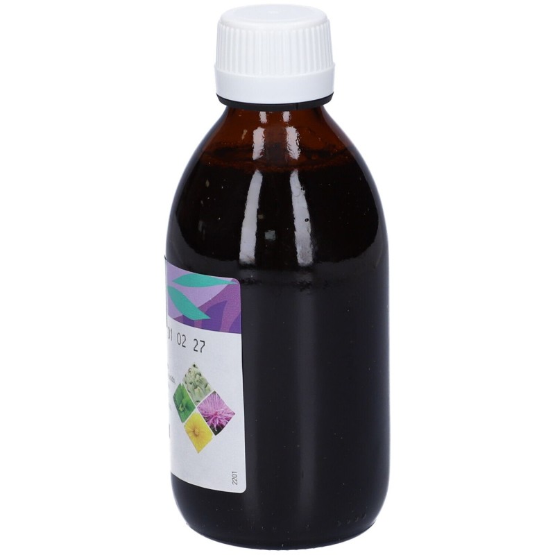 Foto illustrativa del packaging di Bilixir Vigor Integratore per lo Stomaco 240ml Foto illustrativa del packaging di Bilixir Vigor Integratore per lo Stomaco 240ml