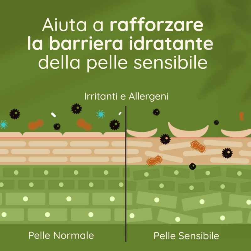 Presentazione grafica di Aveeno Bagnodoccia Corpo Idratante Pelle Normale e Secca 500ml Presentazione grafica di Aveeno Bagnodoccia Corpo Idratante Pelle Normale e Secca 500ml