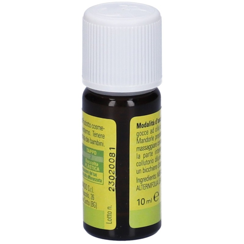 Visualizzazione chiara di Naturando Tea Tree Olio Esseziale 10 ml Visualizzazione chiara di Naturando Tea Tree Olio Esseziale 10 ml