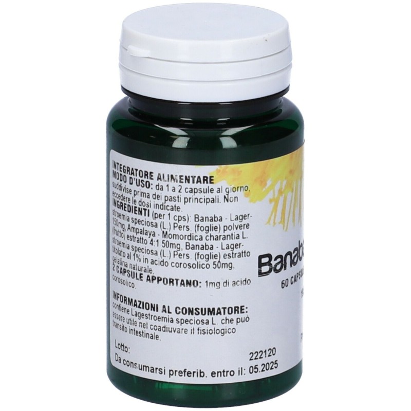 Foto illustrativa del packaging di Banaba Active per Controllo Glucidi 60 Capsule Foto illustrativa del packaging di Banaba Active per Controllo Glucidi 60 Capsule