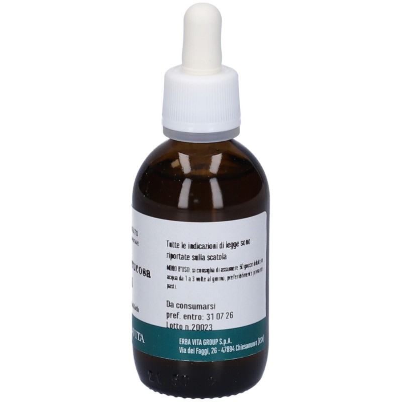 Pack ufficiale del prodotto Gemmoderivato Betulla Semi per Depurazione 50ml Pack ufficiale del prodotto Gemmoderivato Betulla Semi per Depurazione 50ml