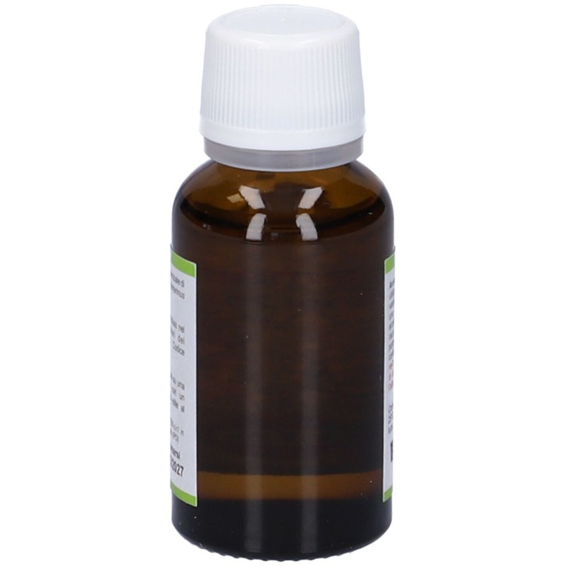 Pack ufficiale del prodotto Kos Rosmarino Olio Essenziale Integratore per la Digestione 20ml Pack ufficiale del prodotto Kos Rosmarino Olio Essenziale Integratore per la Digestione 20ml