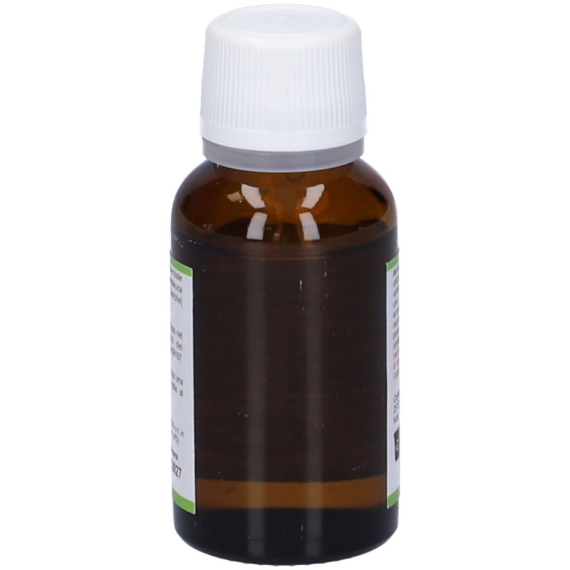 Confezione commerciale diTea Tree Olio Essenziale Integratore per le Vie Respiratorie 20ml Confezione commerciale diTea Tree Olio Essenziale Integratore per le Vie Respiratorie 20ml