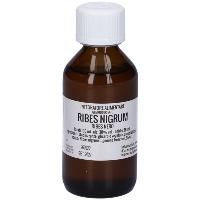 Vista del prodotto Ribes Nigrum per Sistema Immunitario 100ml Macerato Glicerico Vista del prodotto Ribes Nigrum per Sistema Immunitario 100ml Macerato Glicerico