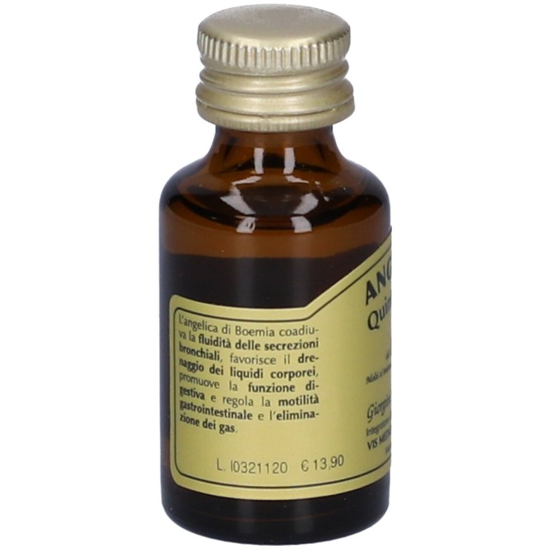 Foto ravvicinata di Dr. Giorgini Angelica Quintessenza Integratore per Vie Respiratorie 15ml Foto ravvicinata di Dr. Giorgini Angelica Quintessenza Integratore per Vie Respiratorie 15ml