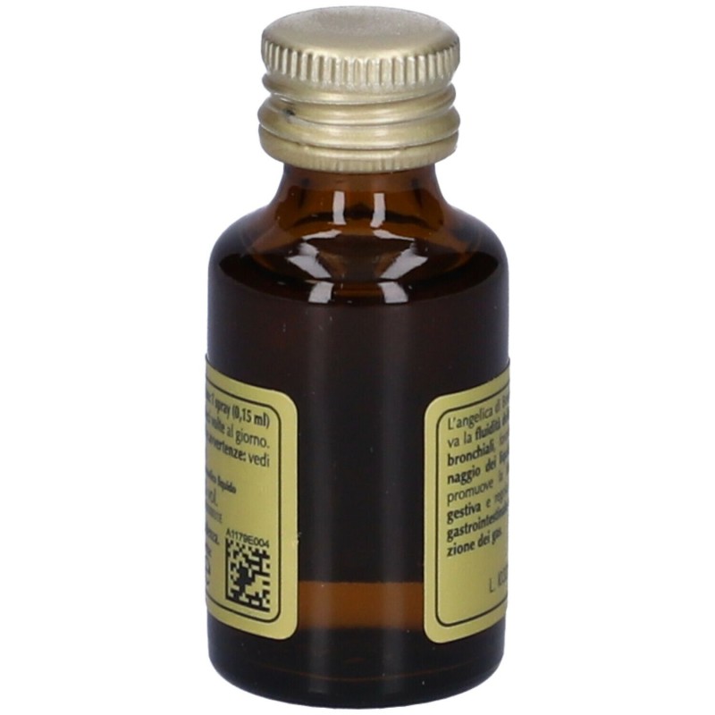 Confezione commerciale diDr. Giorgini Angelica Quintessenza Integratore per Vie Respiratorie 15ml Confezione commerciale diDr. Giorgini Angelica Quintessenza Integratore per Vie Respiratorie 15ml