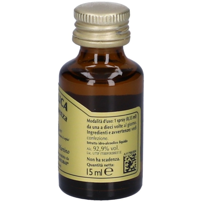 Foto illustrativa del packaging di Dr. Giorgini Angelica Quintessenza Integratore per Vie Respiratorie 15ml Foto illustrativa del packaging di Dr. Giorgini Angelica Quintessenza Integratore per Vie Respiratorie 15ml