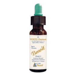 Scatola originale del prodotto Alchimia Benoit Fiori di Bach White Chestnut 10ml Scatola originale del prodotto Alchimia Benoit Fiori di Bach White Chestnut 10ml