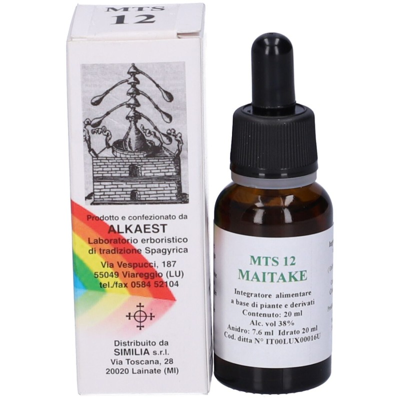 Primo piano di Mts12 Maitake Gocce Integratore per Difese Immunitarie 20ml Primo piano di Mts12 Maitake Gocce Integratore per Difese Immunitarie 20ml