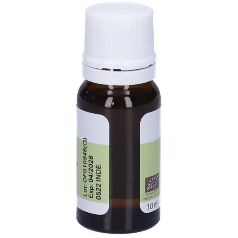 Pack ufficiale del prodotto Pranarom Menta Piperita Olio Essenziale Biologico 10ml Pack ufficiale del prodotto Pranarom Menta Piperita Olio Essenziale Biologico 10ml
