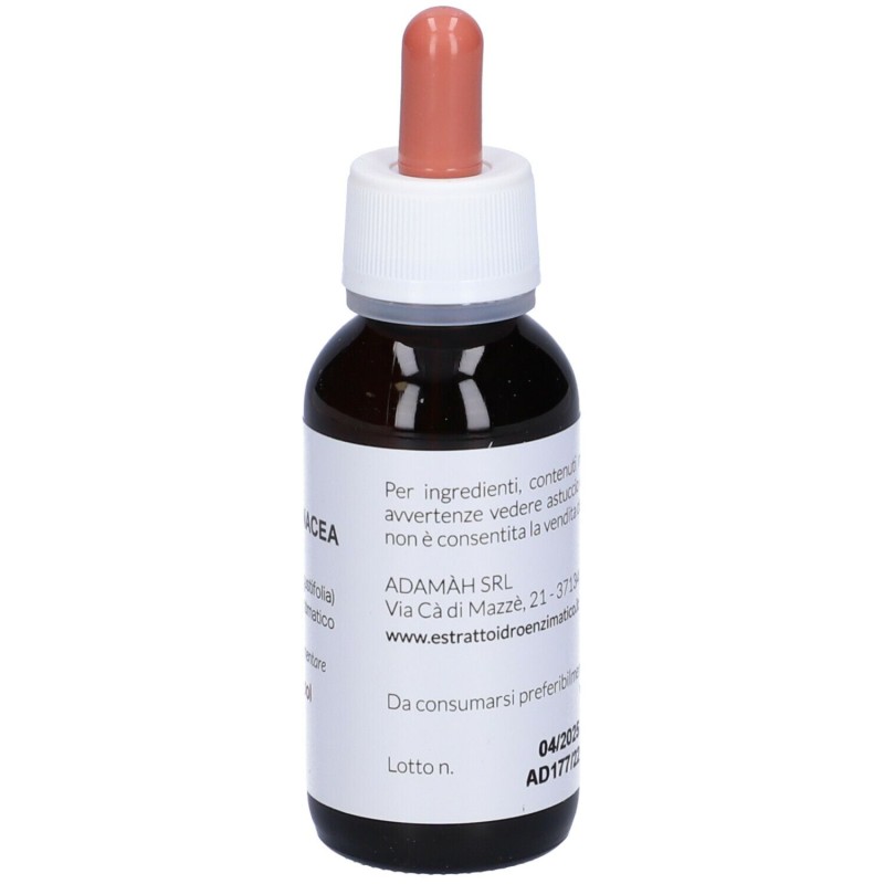 Confezione sigillata di EIE Echinacea Gocce per Sistema Immunitario 60ml Confezione sigillata di EIE Echinacea Gocce per Sistema Immunitario 60ml