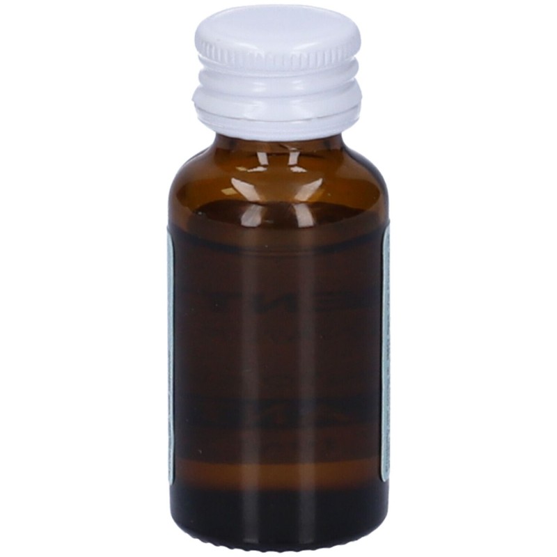 Foto illustrativa del packaging di Vaillant Menta Olio Essenziale per Aromaterapia 10ml