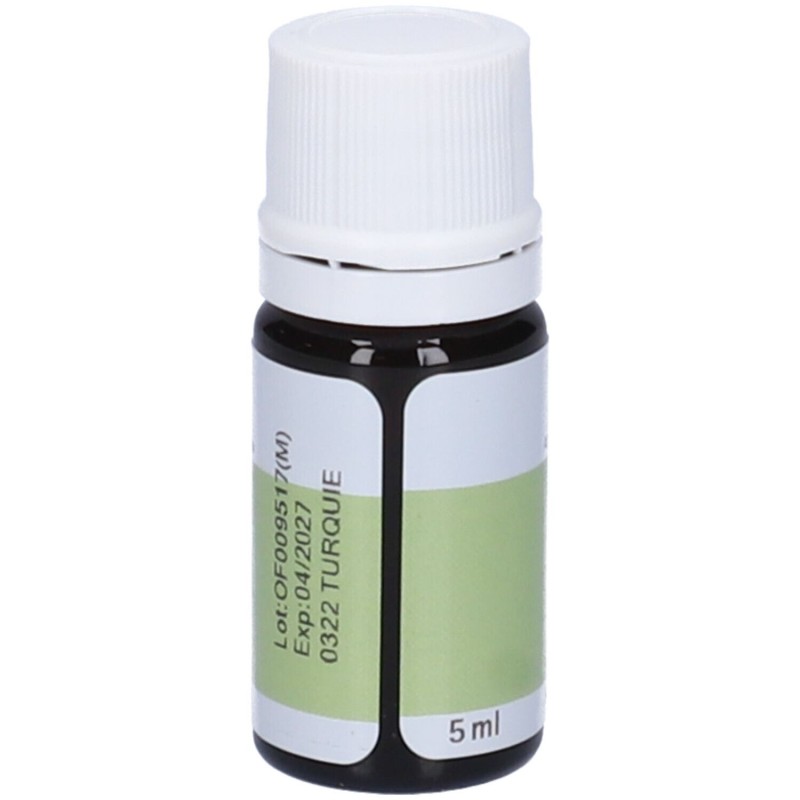 Visualizzazione chiara di Pranarom Alloro Olio Essenziale 5ml Visualizzazione chiara di Pranarom Alloro Olio Essenziale 5ml