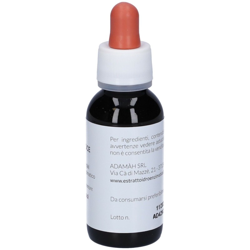 Pack ufficiale del prodotto EIE Noce Gocce per Problemi Digestivi 60ml Pack ufficiale del prodotto EIE Noce Gocce per Problemi Digestivi 60ml