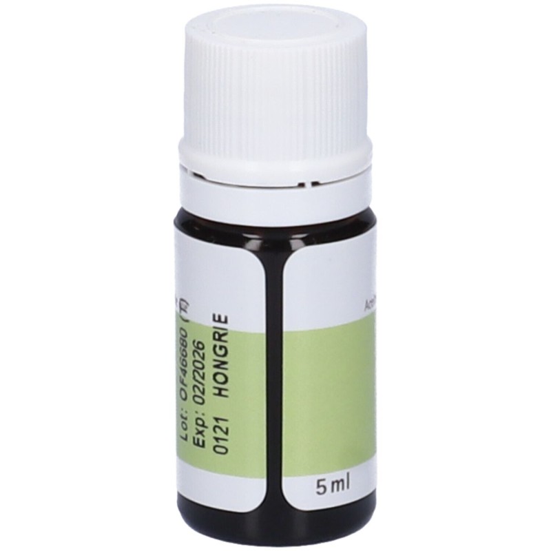 Vista del prodotto Pranarom Angelica Olio Essenziale 5ml Vista del prodotto Pranarom Angelica Olio Essenziale 5ml