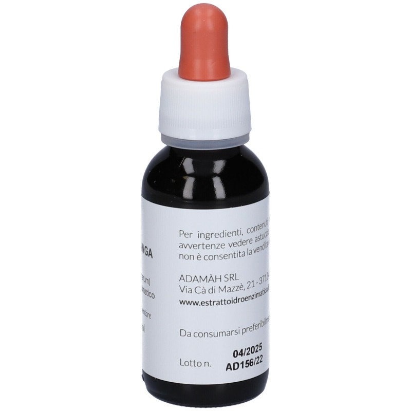 Confezione commerciale diEIE Galanga Integratore Gocce per Digestione 60ml Confezione commerciale diEIE Galanga Integratore Gocce per Digestione 60ml