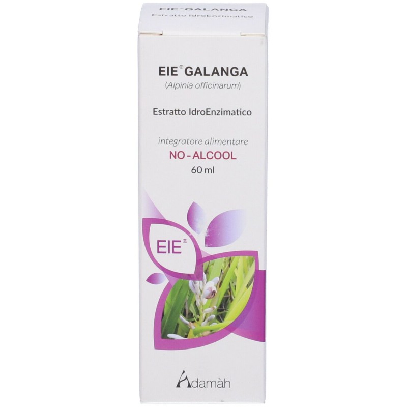 Primo piano di EIE Galanga Integratore Gocce per Digestione 60ml Primo piano di EIE Galanga Integratore Gocce per Digestione 60ml