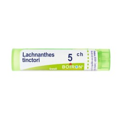 Foto illustrativa del packaging di Boiron Lachnanthes Tinctoria 5CH Granuli Omeopatici Tubo Foto illustrativa del packaging di Boiron Lachnanthes Tinctoria 5CH Granuli Omeopatici Tubo