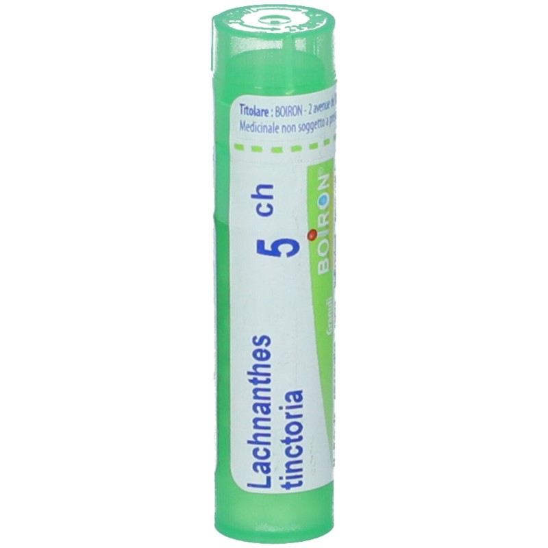 Immagine reale di Boiron Lachnanthes Tinctoria 5CH Granuli Omeopatici Tubo Immagine reale di Boiron Lachnanthes Tinctoria 5CH Granuli Omeopatici Tubo