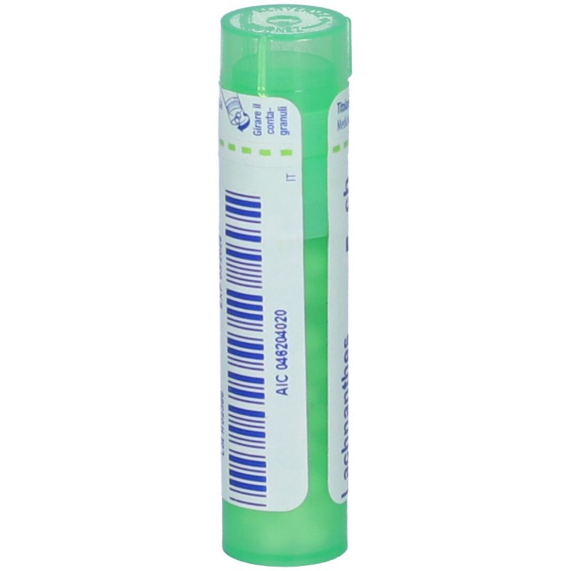 Dettaglio del packaging di Boiron Lachnanthes Tinctoria 5CH Granuli Omeopatici Tubo Dettaglio del packaging di Boiron Lachnanthes Tinctoria 5CH Granuli Omeopatici Tubo