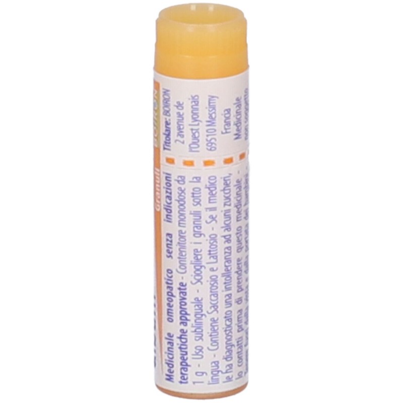 Primo piano di Boiron Arsenicum Album 10MK per Trattamenti Specifici Granuli Monodose 1g