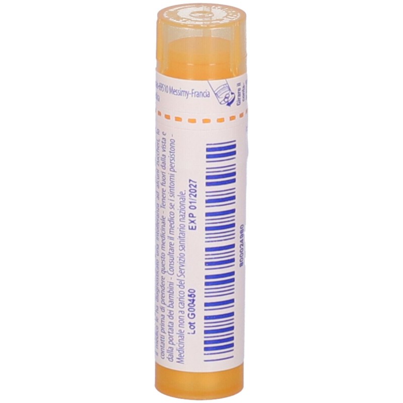 Pack ufficiale del prodotto Boiron Sepia Officinalis 15CH Granuli Omeopatici Tubo da 4gr Pack ufficiale del prodotto Boiron Sepia Officinalis 15CH Granuli Omeopatici Tubo da 4gr