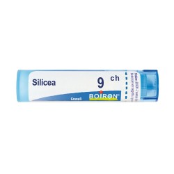 Packaging del prodotto Boiron Silicea 9CH Granuli Omeopatici Tubo da 4gr Packaging del prodotto Boiron Silicea 9CH Granuli Omeopatici Tubo da 4gr