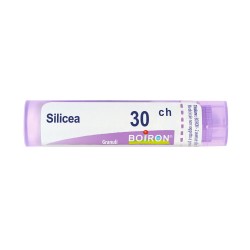 Immagine reale di Boiron Silicea 30CH Granuli Omeopatici Tubo da 4gr Immagine reale di Boiron Silicea 30CH Granuli Omeopatici Tubo da 4gr
