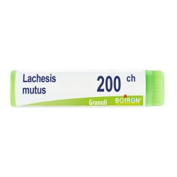 Foto esplicativa di Boiron Lachesis Mutus 200CH Monodose Globuli Omeopatici Foto esplicativa di Boiron Lachesis Mutus 200CH Monodose Globuli Omeopatici