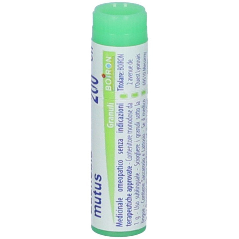 Confezione commerciale diBoiron Lachesis Mutus 200CH Monodose Globuli Omeopatici Confezione commerciale diBoiron Lachesis Mutus 200CH Monodose Globuli Omeopatici