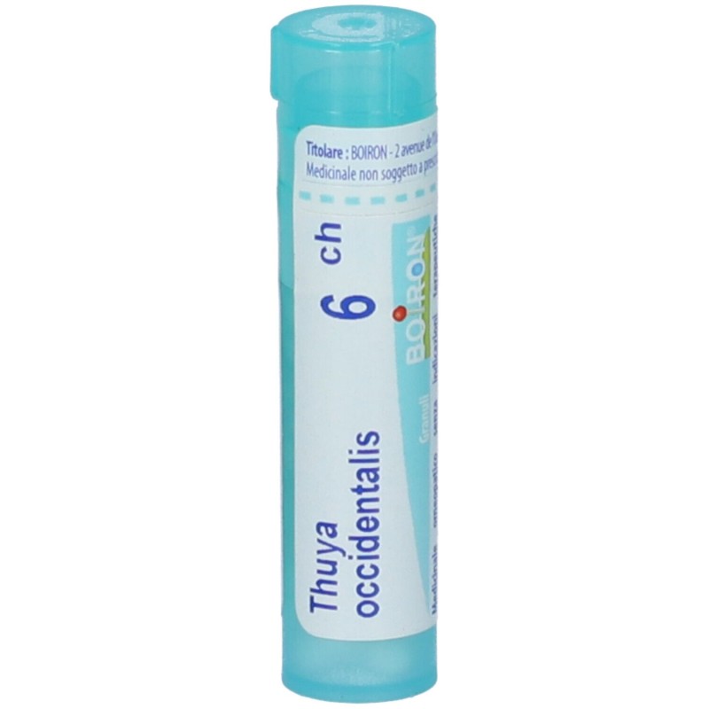 Scatola integra del prodotto Boiron Thuya Occidentalis 6CH Granuli Omeopatici Tubo Scatola integra del prodotto Boiron Thuya Occidentalis 6CH Granuli Omeopatici Tubo