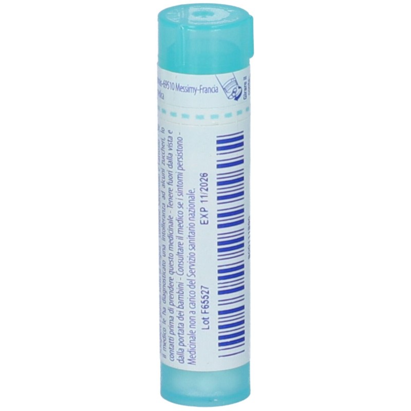 Packaging del prodotto Boiron Thuya Occidentalis 6CH Granuli Omeopatici Tubo Packaging del prodotto Boiron Thuya Occidentalis 6CH Granuli Omeopatici Tubo