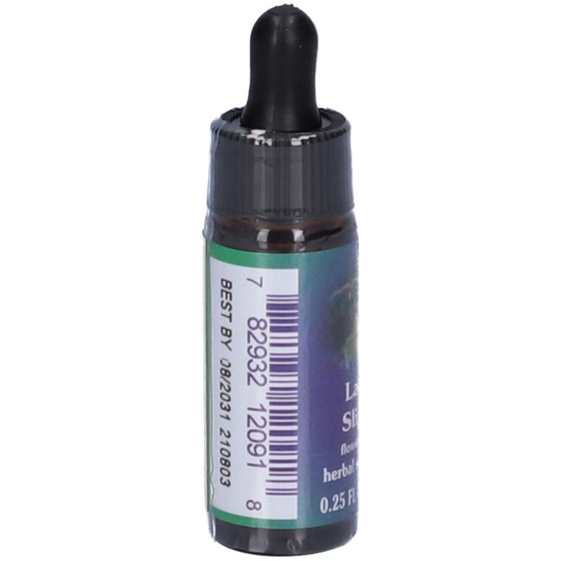 Visualizzazione chiara di Lady's Slipper Essenza Singola Californiana Integratore per Sonno 7,4ml Visualizzazione chiara di Lady's Slipper Essenza Singola Californiana Integratore per Sonno 7,4ml