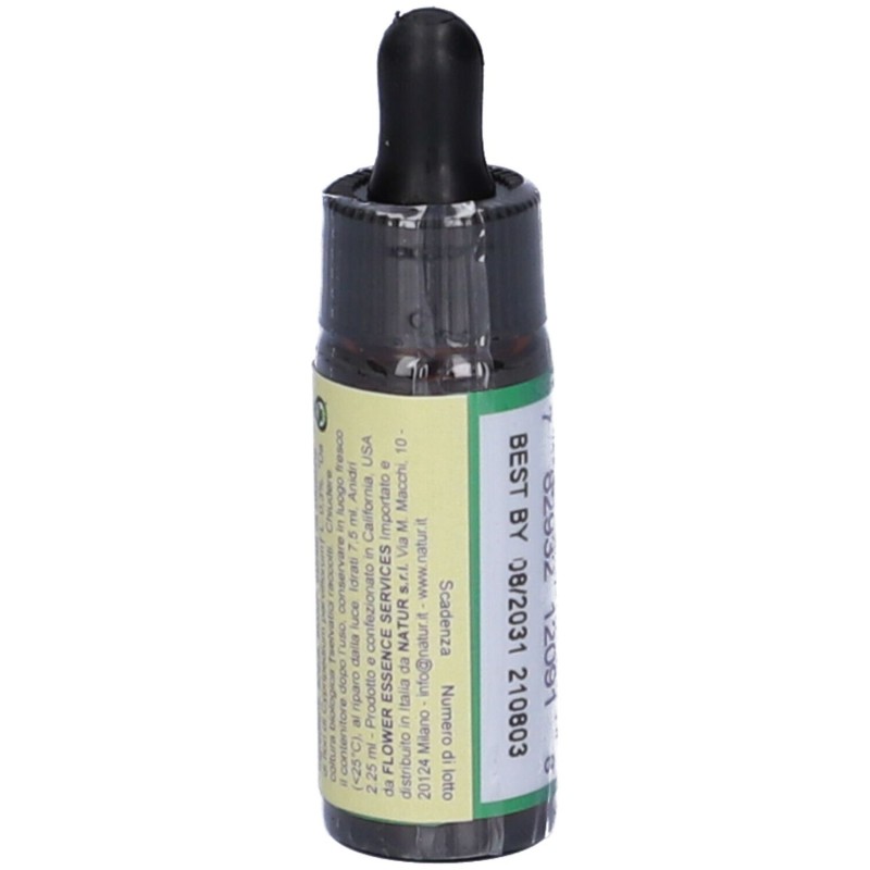Scatola originale del prodotto Lady's Slipper Essenza Singola Californiana Integratore per Sonno 7,4ml Scatola originale del prodotto Lady's Slipper Essenza Singola Californiana Integratore per Sonno 7,4ml