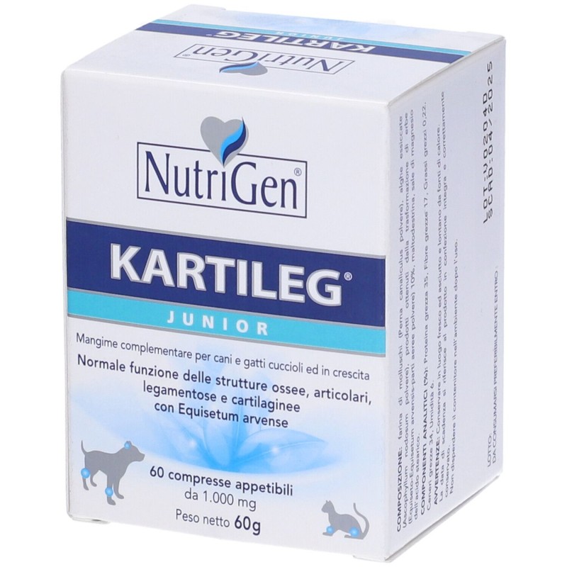 Scatola integra del prodotto Kartileg Junior per Sviluppo Articolare e Muscolare 60 Tavolette Scatola integra del prodotto Kartileg Junior per Sviluppo Articolare e Muscolare 60 Tavolette