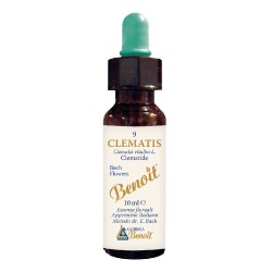 Vista del prodotto Alchimia Benoit Fiori di Bach Clematis Gocce 10ml Vista del prodotto Alchimia Benoit Fiori di Bach Clematis Gocce 10ml