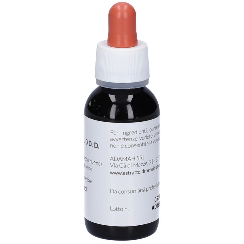 Foto ravvicinata di EIE Artiglio del Diavolo Gocce per Dolori Articolari e Muscolari 60ml Foto ravvicinata di EIE Artiglio del Diavolo Gocce per Dolori Articolari e Muscolari 60ml