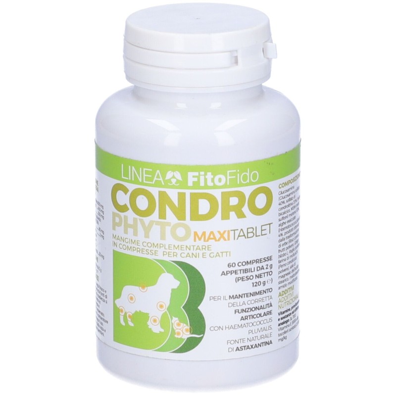 Aspetto del prodotto Condrophyto 60 Compresse 2g