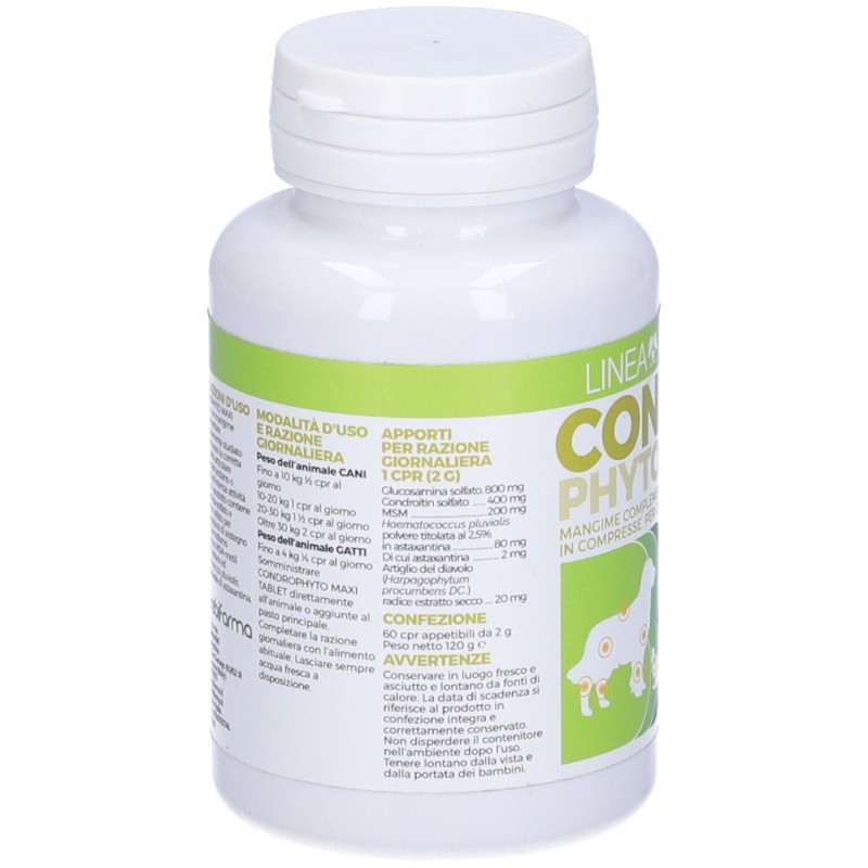 Scatola integra del prodotto Condrophyto 60 Compresse 2g