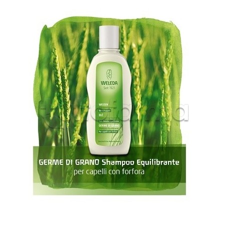 Weleda Germe di Grano Shampoo Equilibrante 190 ml Weleda Germe di Grano Shampoo Equilibrante 190 ml